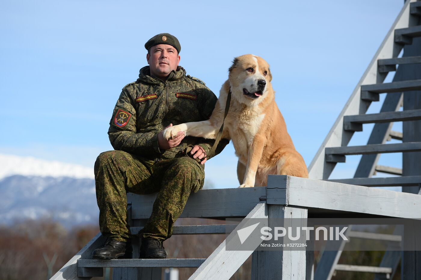 Guard dog training in Abkhazia