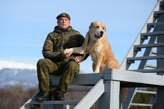 Guard dog training in Abkhazia