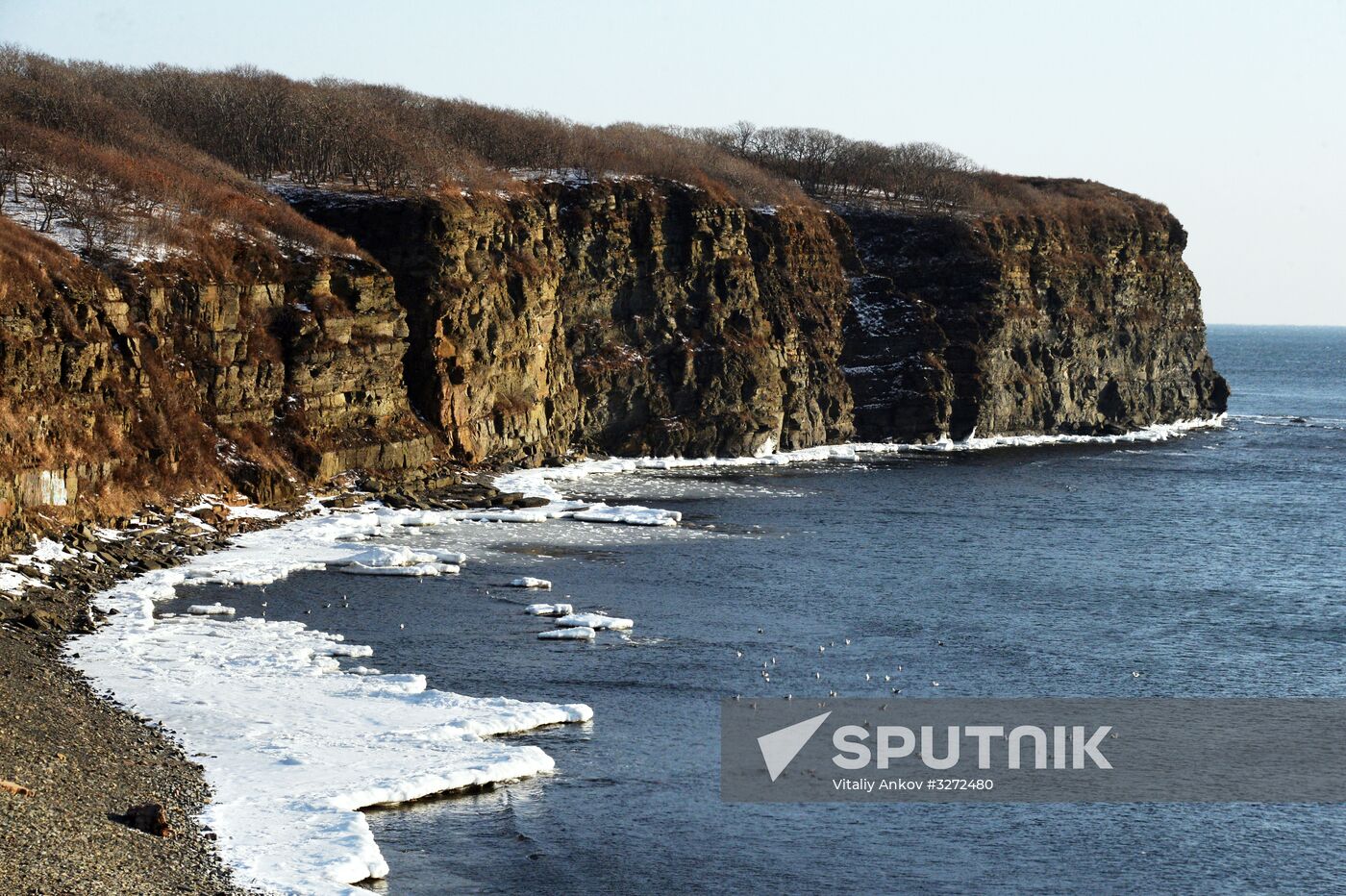 Winter on Russky Island