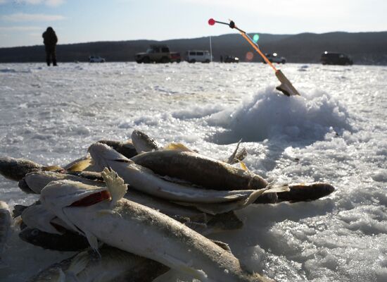Winter on Russky Island