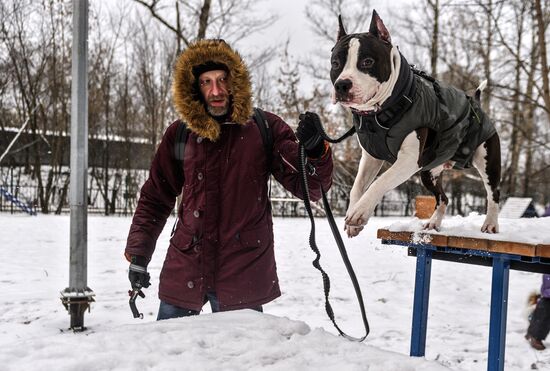 Sokolniki service dog stadium unveiled