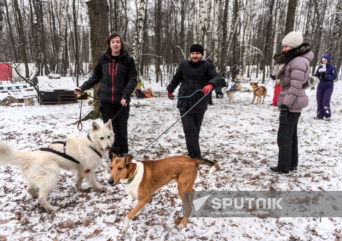 Sokolniki service dog stadium unveiled