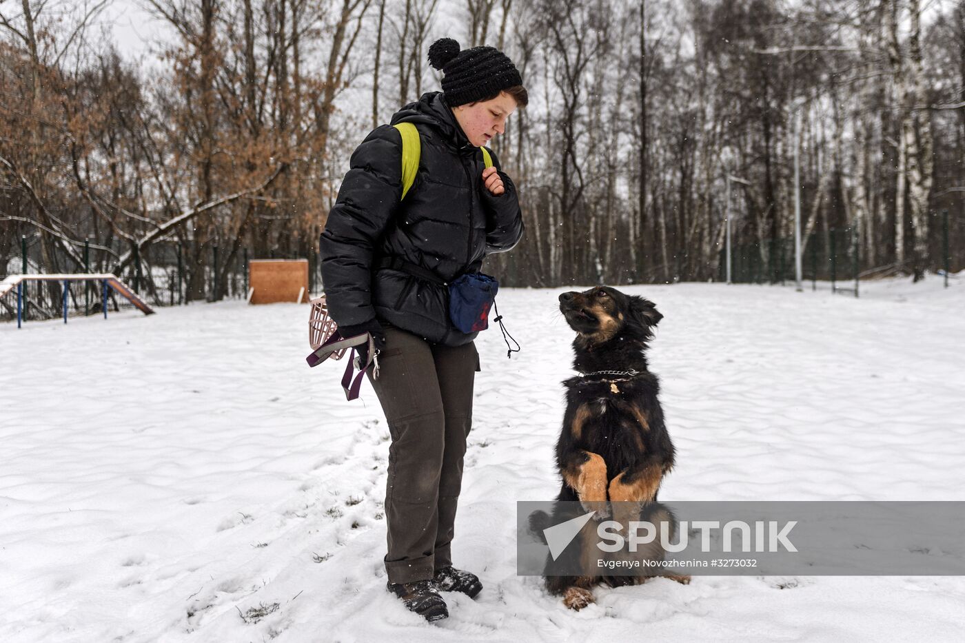 Sokolniki service dog stadium unveiled