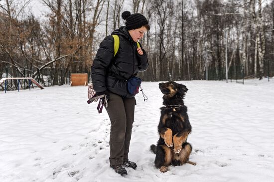 Sokolniki service dog stadium unveiled
