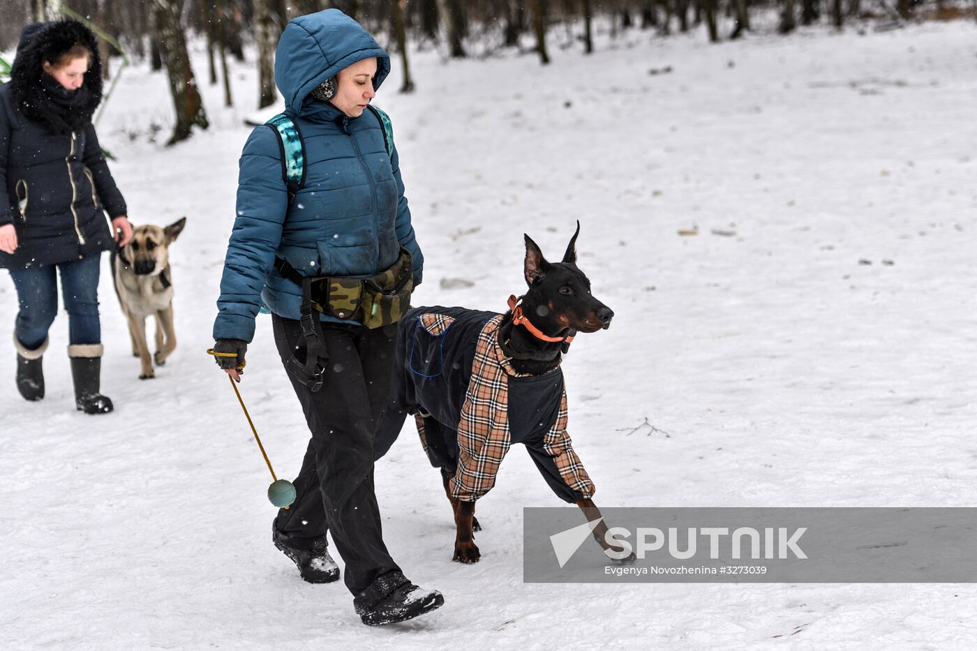 Sokolniki service dog stadium unveiled