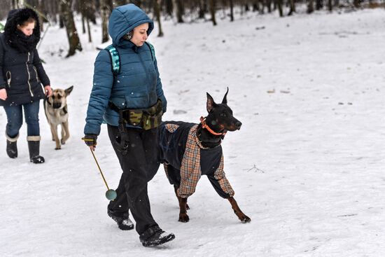 Sokolniki service dog stadium unveiled