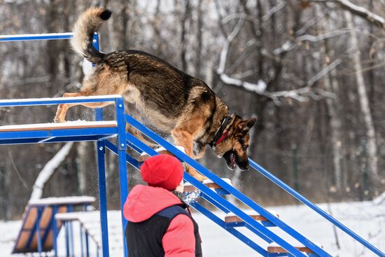 Sokolniki service dog stadium unveiled