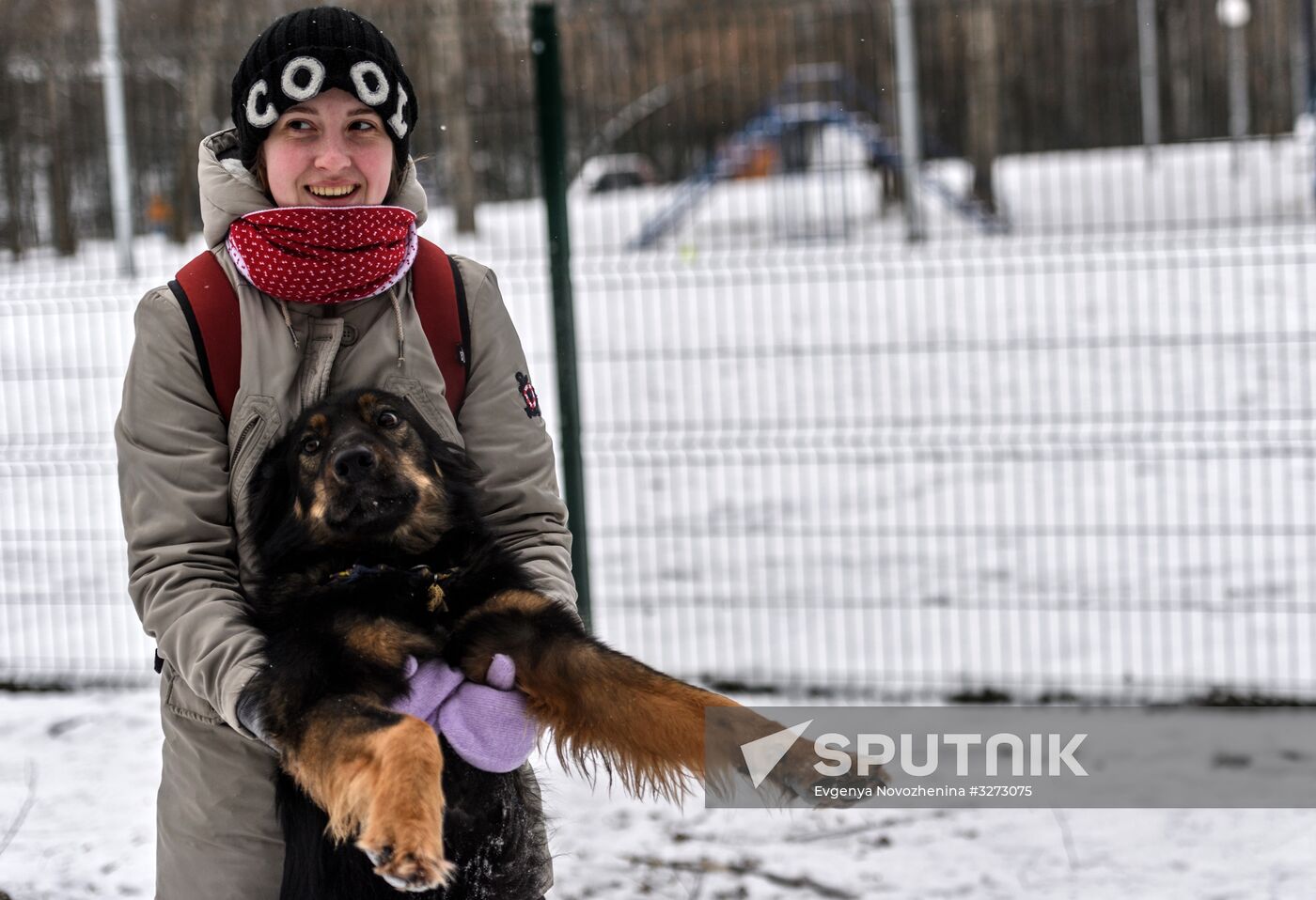 Sokolniki service dog stadium unveiled
