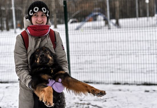 Sokolniki service dog stadium unveiled