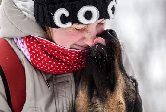 Sokolniki service dog stadium unveiled