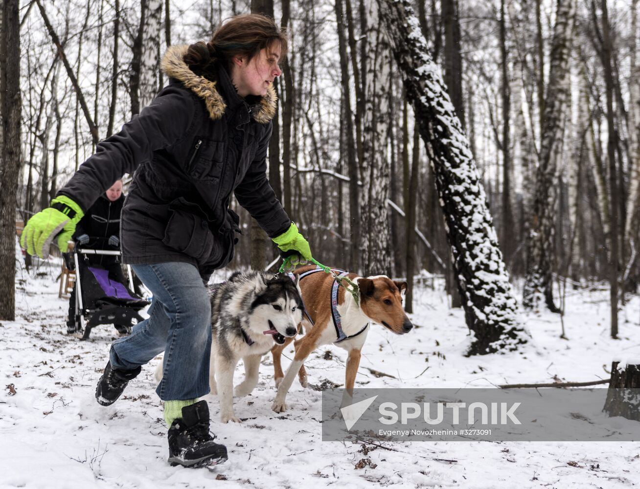 Sokolniki service dog stadium unveiled