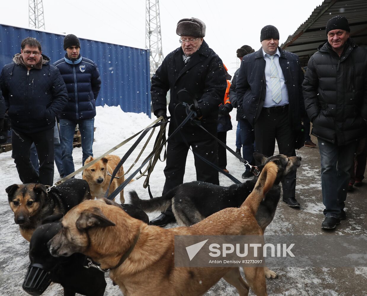 Liberal Democratic Party leader Zhirinovsky visits Red Pine dog shelter