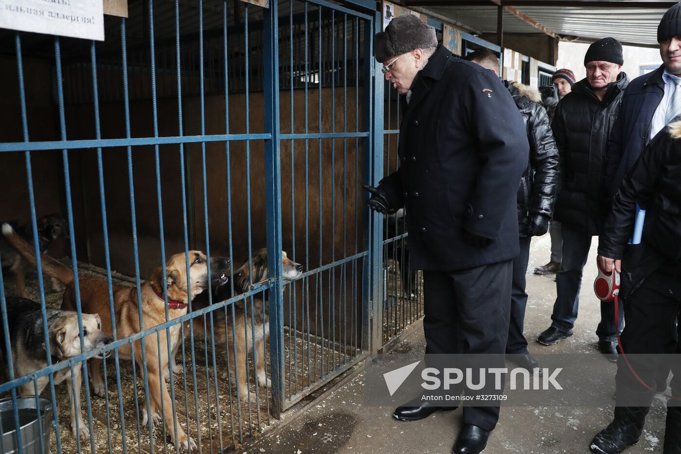 Liberal Democratic Party leader Zhirinovsky visits Red Pine dog shelter