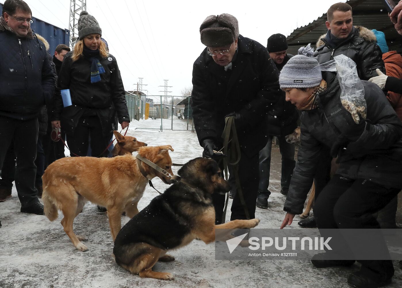 Liberal Democratic Party leader Zhirinovsky visits Red Pine dog shelter