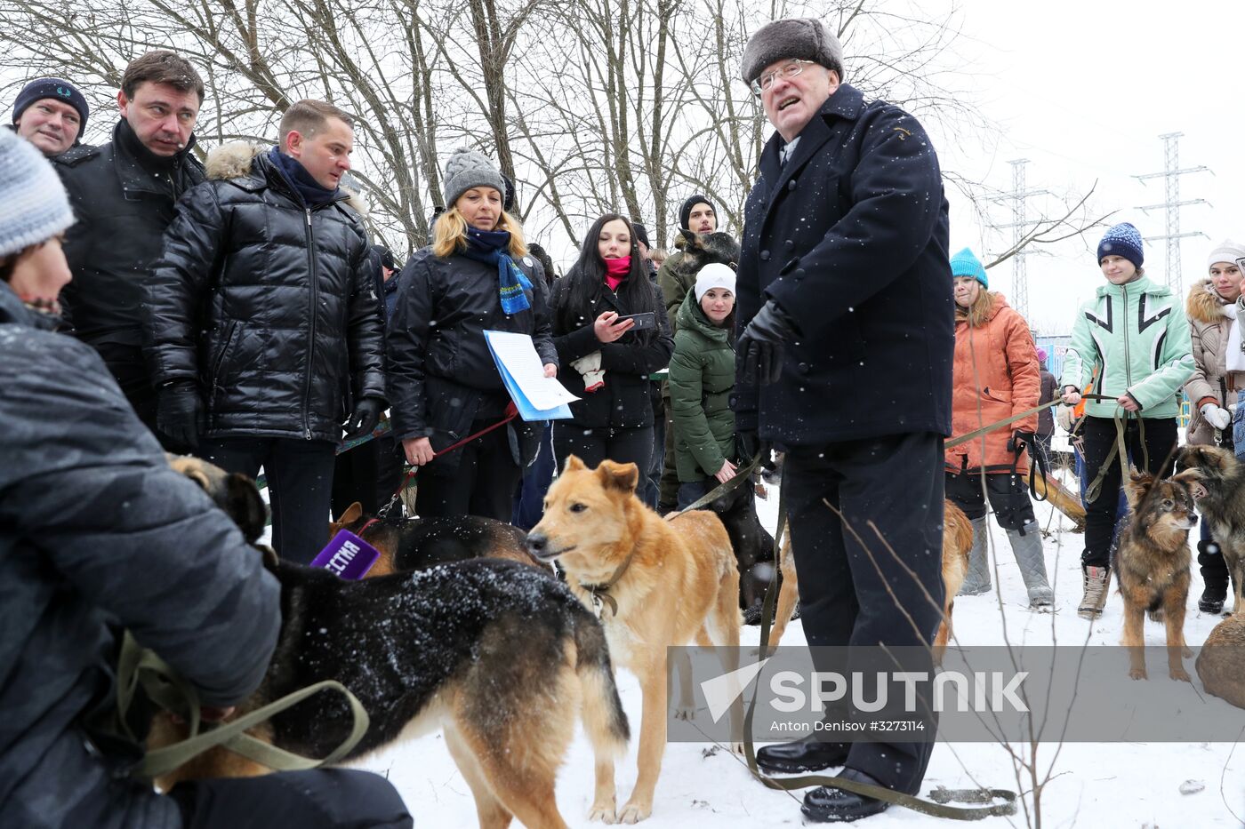 Liberal Democratic Party leader Zhirinovsky visits Red Pine dog shelter