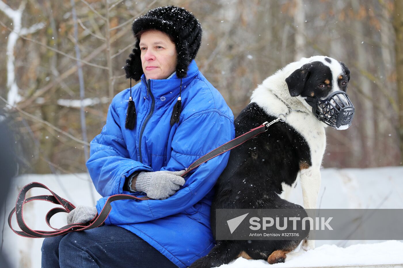Liberal Democratic Party leader Zhirinovsky visits Red Pine dog shelter