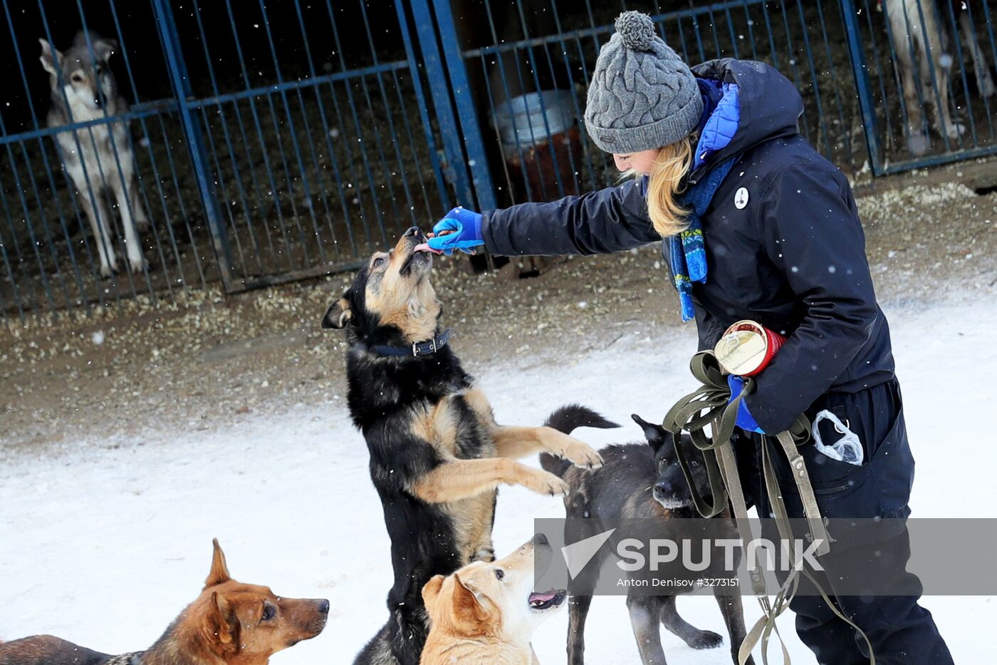 Liberal Democratic Party leader Zhirinovsky visits Red Pine dog shelter