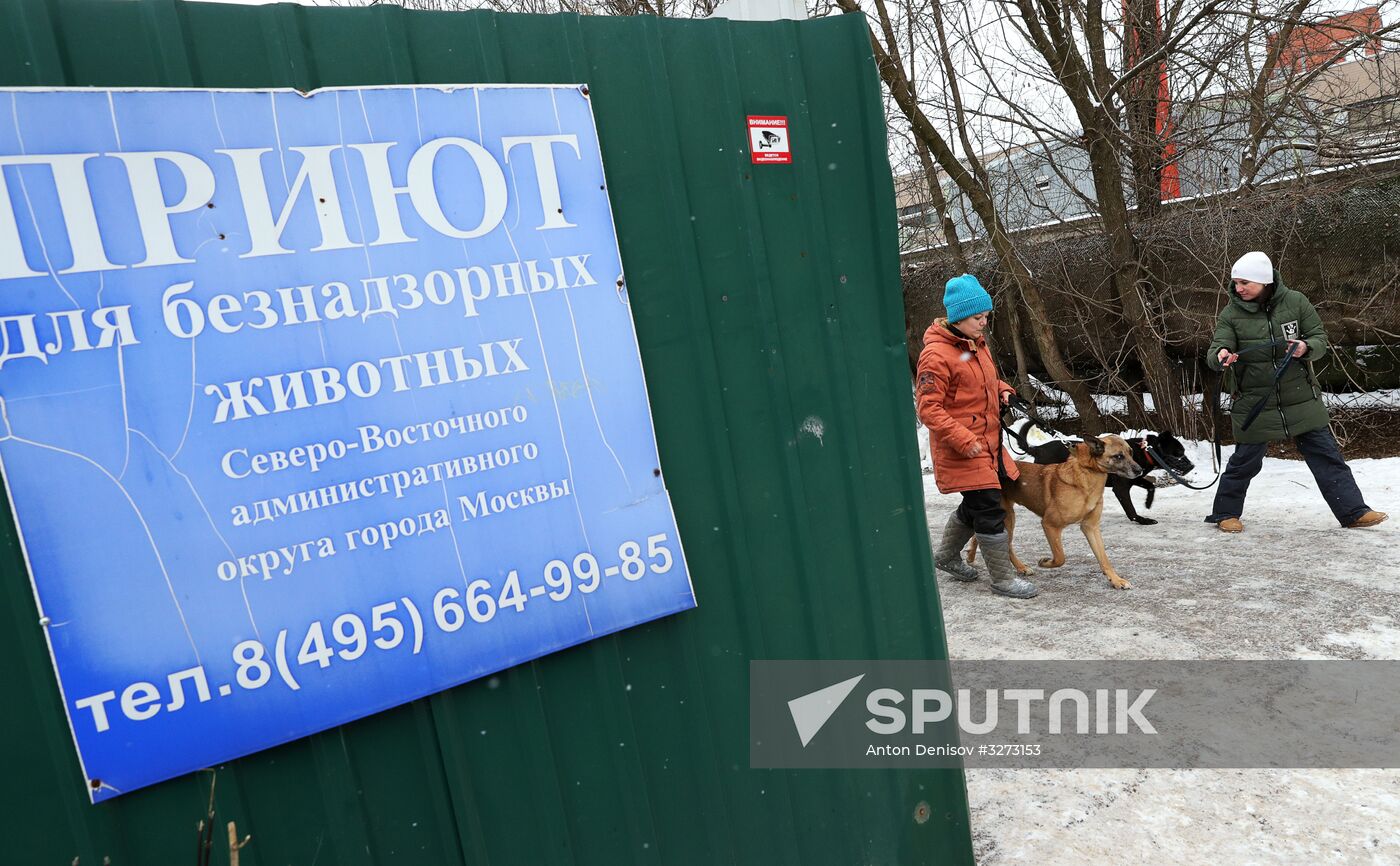 Liberal Democratic Party leader Vladimir Zhirinovsky visits Krasnaya Sosna dog rescue center