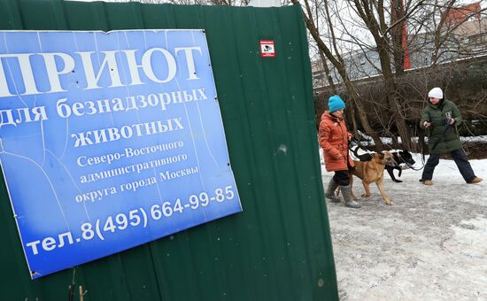 Liberal Democratic Party leader Vladimir Zhirinovsky visits Krasnaya Sosna dog rescue center