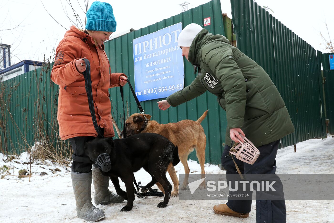 Liberal Democratic Party leader Vladimir Zhirinovsky visits Krasnaya Sosna dog rescue center