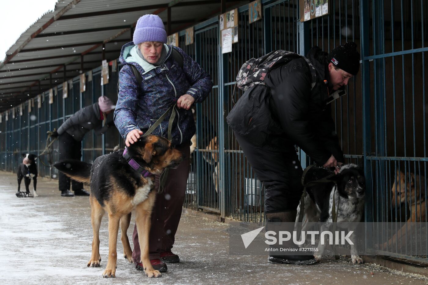 Liberal Democratic Party leader Vladimir Zhirinovsky visits Krasnaya Sosna dog rescue center