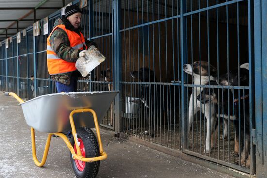 Liberal Democratic Party leader Vladimir Zhirinovsky visits Krasnaya Sosna dog rescue center