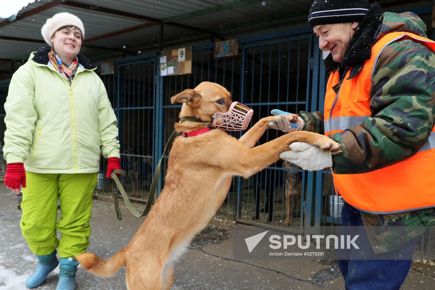 Liberal Democratic Party leader Vladimir Zhirinovsky visits Krasnaya Sosna dog rescue center