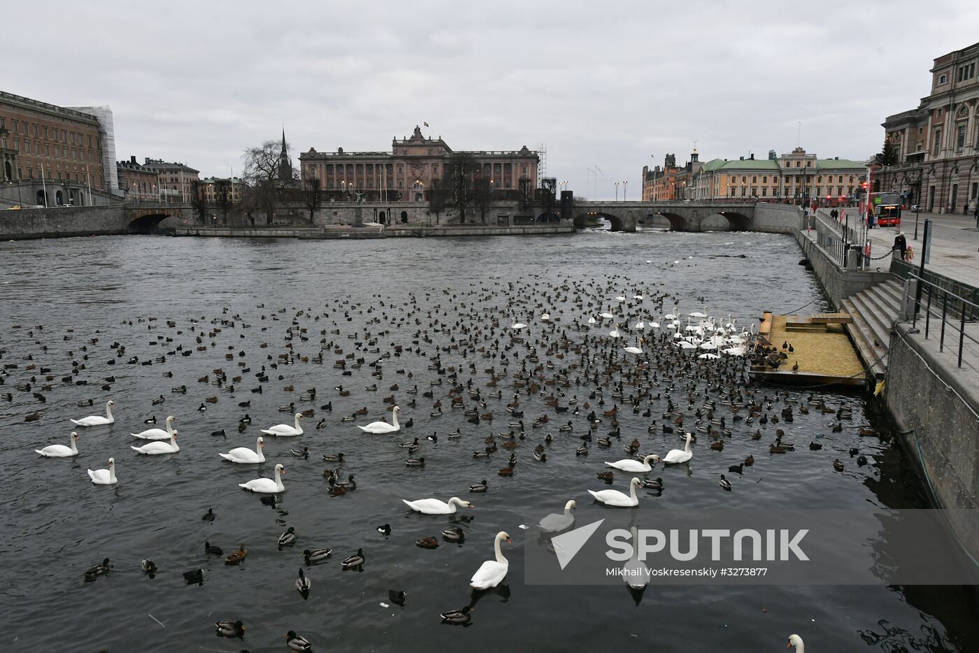 Cities of the world. Stockholm