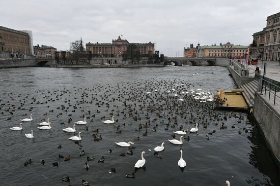 Cities of the world. Stockholm