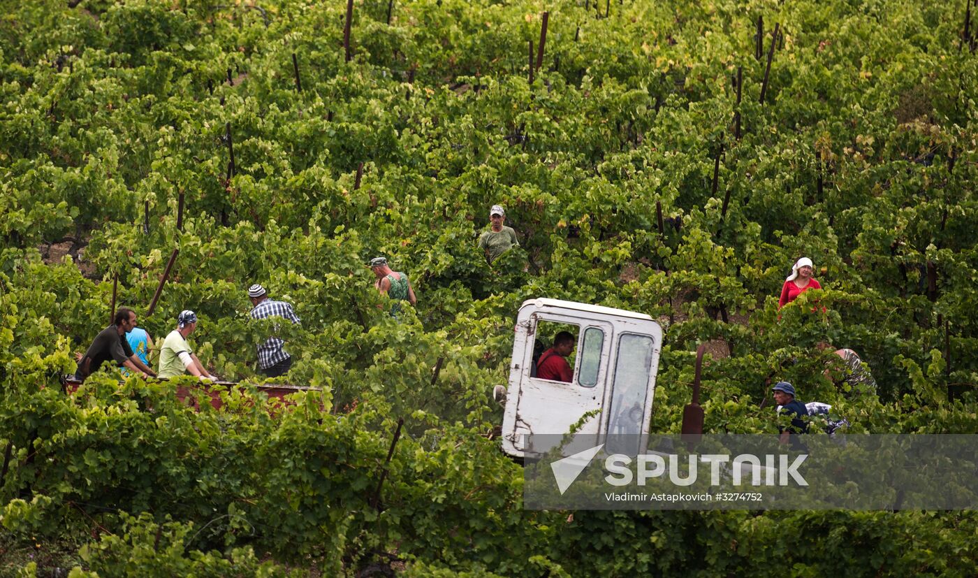 Massandra Winery
