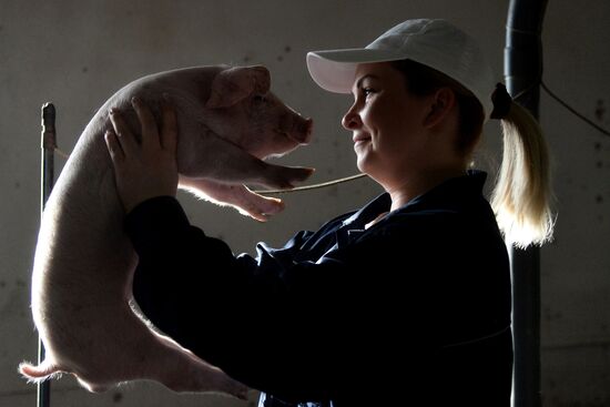 Rodnikovsky pig-breeding farm in Chelyabinsk Region