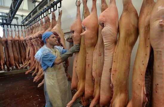 Rodnikovsky pig-breeding farm in Chelyabinsk Region