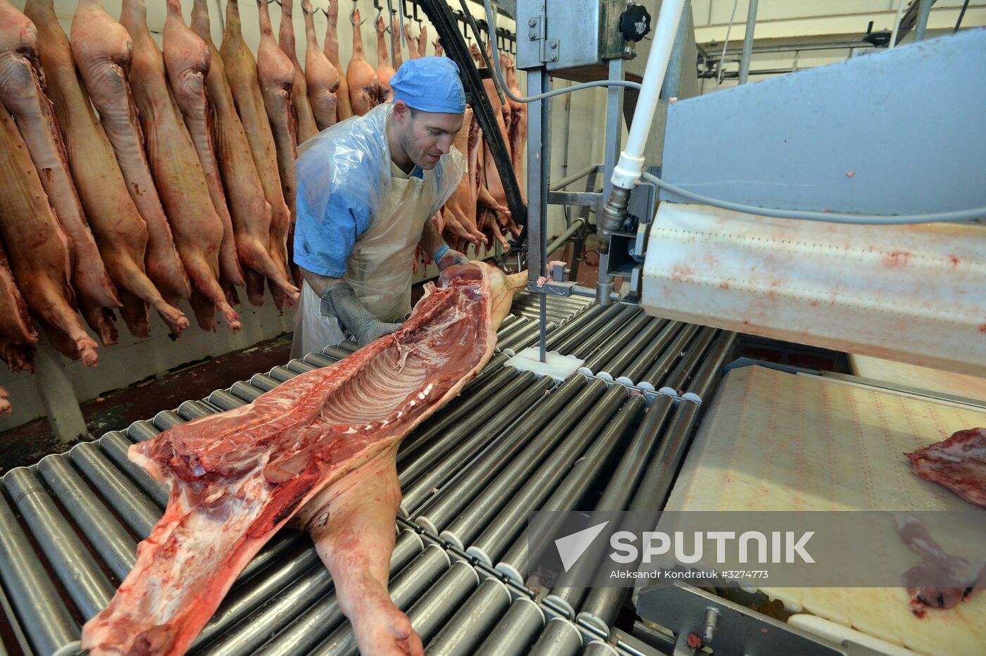 Rodnikovsky pig-breeding farm in Chelyabinsk Region