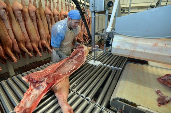 Rodnikovsky pig-breeding farm in Chelyabinsk Region