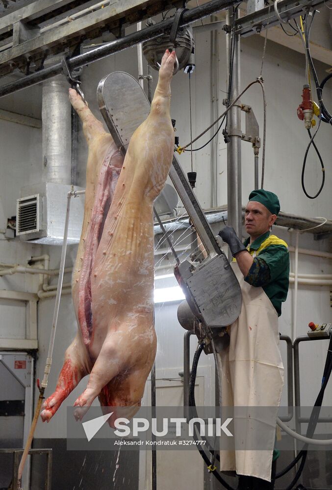 Rodnikovsky pig-breeding farm in Chelyabinsk Region