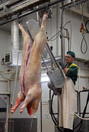 Rodnikovsky pig-breeding farm in Chelyabinsk Region