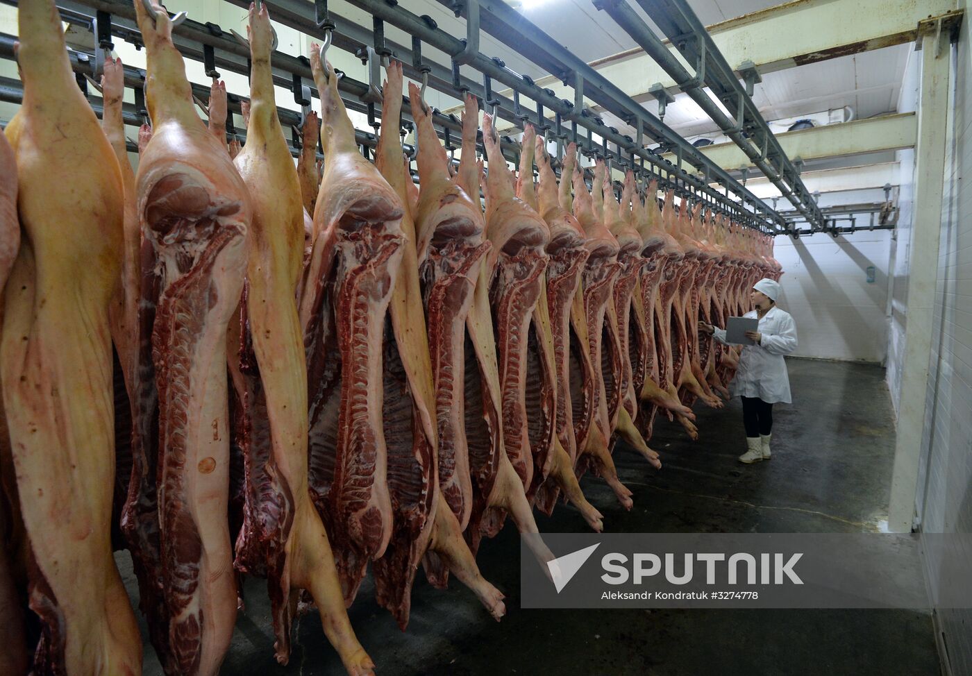 Rodnikovsky pig-breeding farm in Chelyabinsk Region