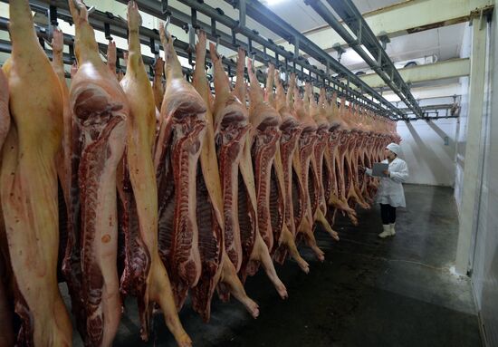 Rodnikovsky pig-breeding farm in Chelyabinsk Region