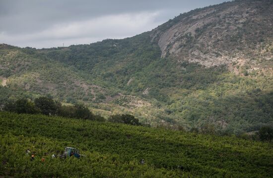 Massandra Winery