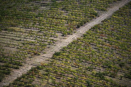 Massandra Winery
