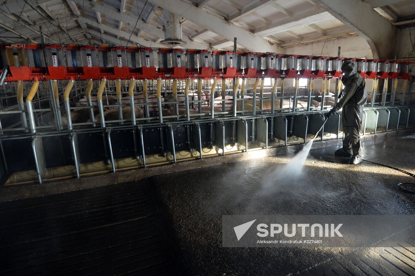 Rodnikovsky pig-breeding farm in Chelyabinsk Region