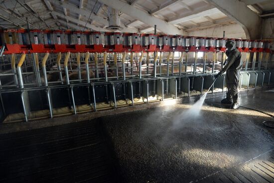 Rodnikovsky pig-breeding farm in Chelyabinsk Region