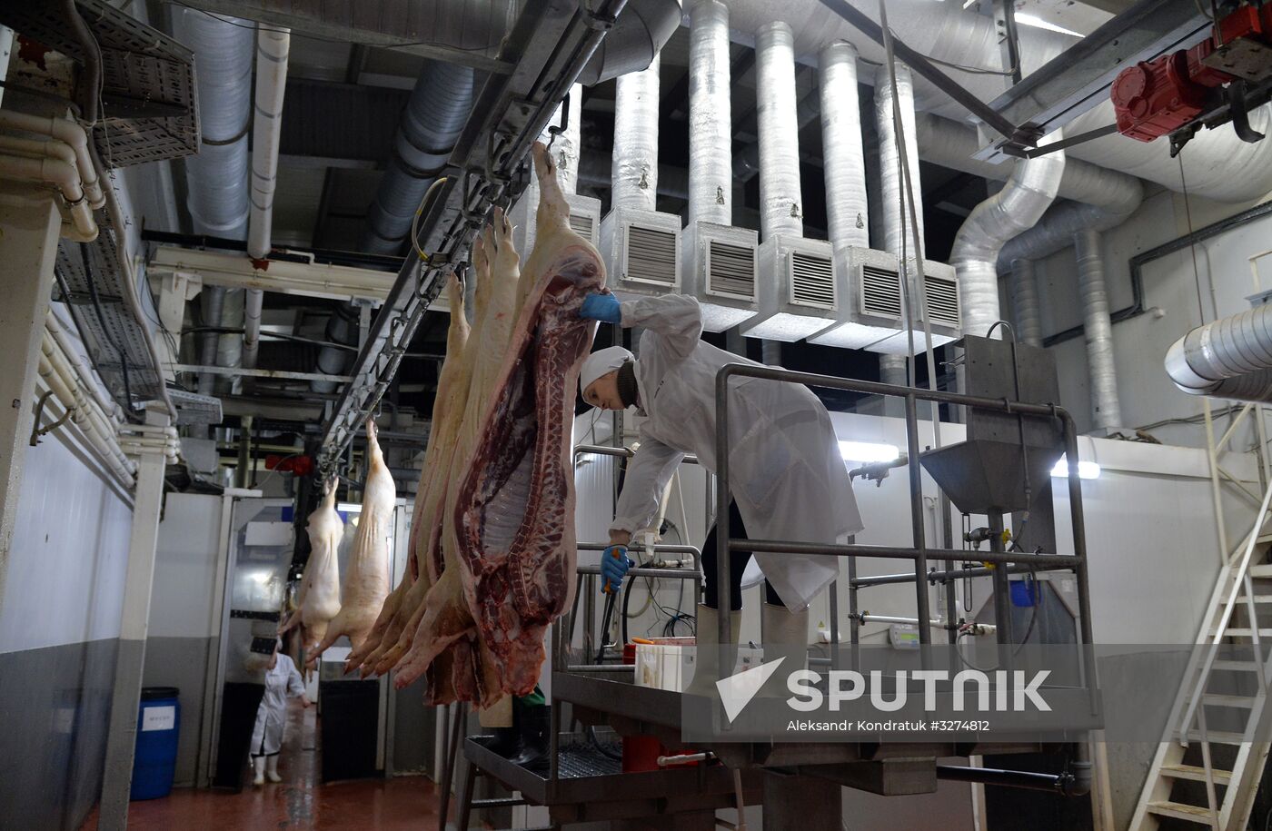 Rodnikovsky pig-breeding farm in Chelyabinsk Region