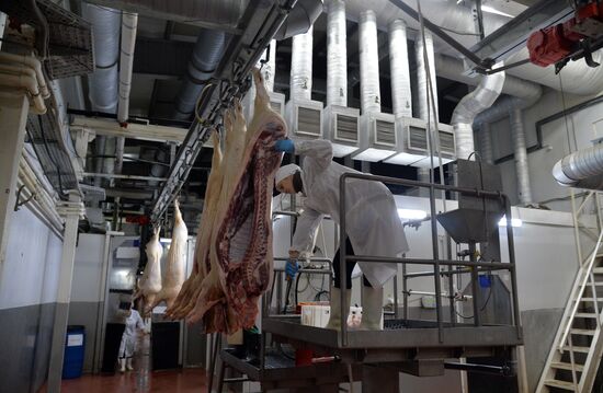 Rodnikovsky pig-breeding farm in Chelyabinsk Region