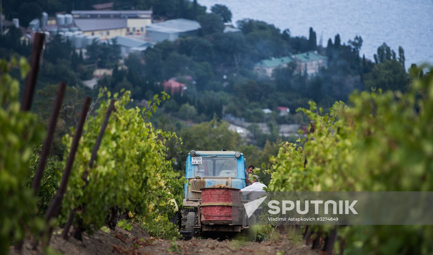 Massandra Winery