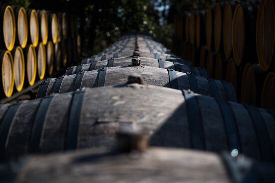 Massandra Winery