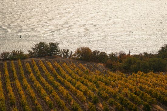 Massandra Winery