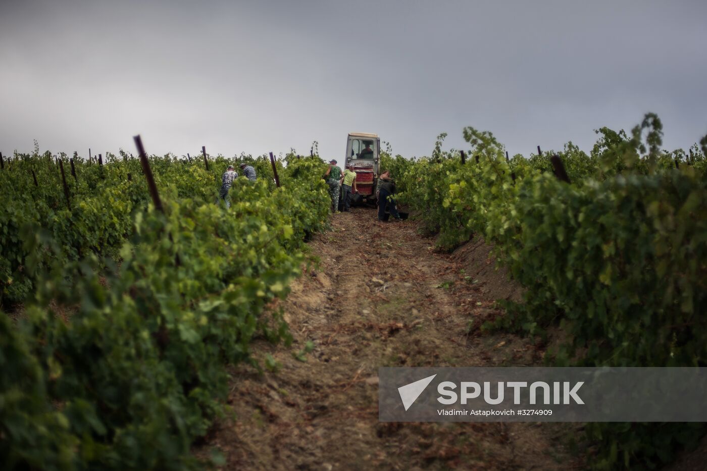 Massandra Winery