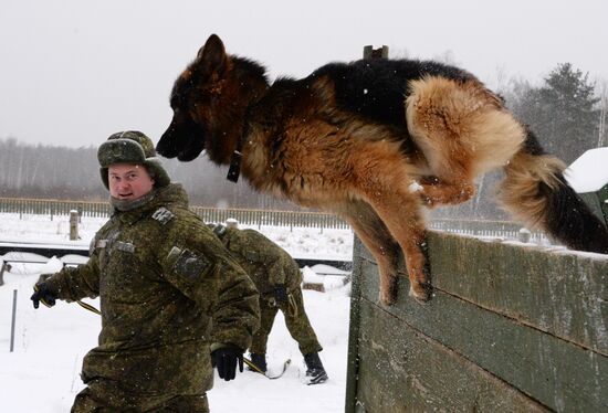 De-mining exercise at Engineer Troops Training Center