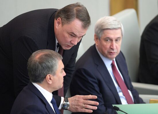 State Duma plenary meeting